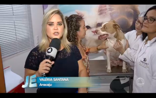 Banco de sangue pet em Aracaju – Tv Atalaia